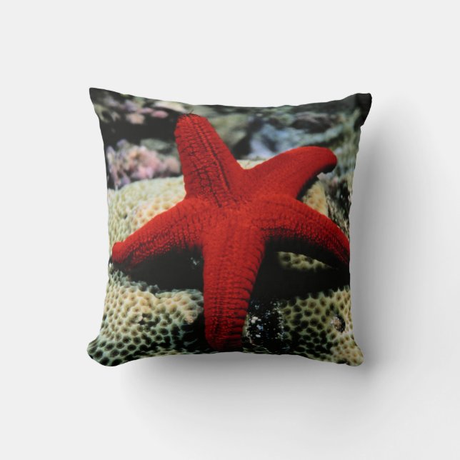Almofada Mar Vermelho dos peixes | da estrela (Frente)