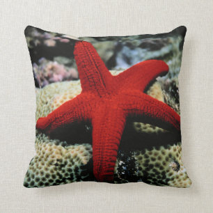 Almofada Mar Vermelho dos peixes da estrela