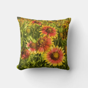 Almofada Margaridas-de-fogo (Gaillardia pulchella) flores s