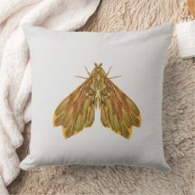 Mariposa da Floresta Dourada – Forma Surreal da Na