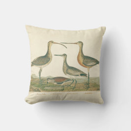 Almofada Marsh Bird Curlew Snipe Birding