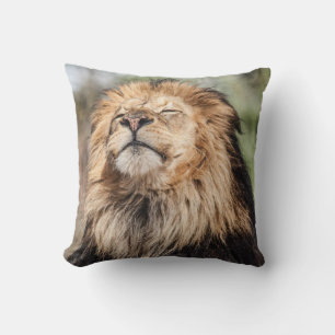 Almofada Masculino Lion Sunbelt