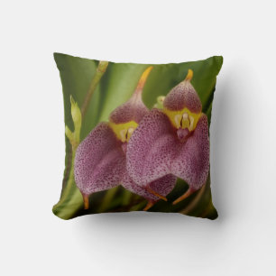 Almofada Masdevallia
