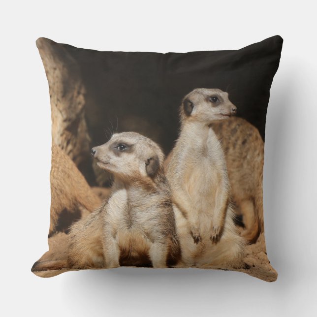 Almofada Meerkat 003 (Frente)