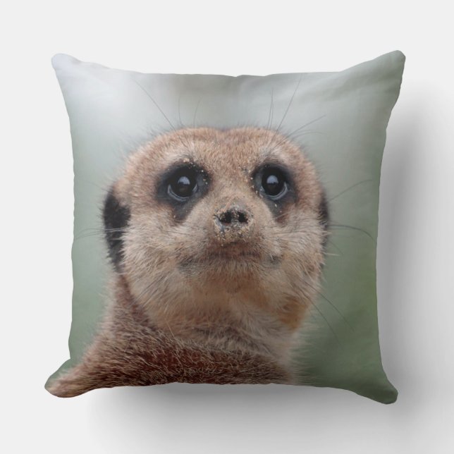 Almofada Meerkat 036 (Frente)