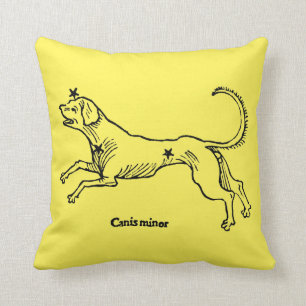 Almofada Menor de Canis, 1482