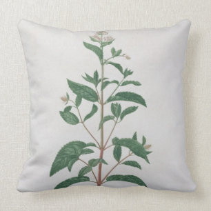 Almofada Mentha Piperita de "Phytographie Medicale" por Jo