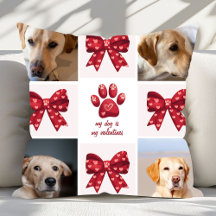Meu Cachorro É Meu Arco de Valentines 4 Fotos