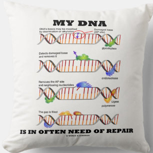Almofada Meu DNA Está Frequentemente Necessitado De Reparo