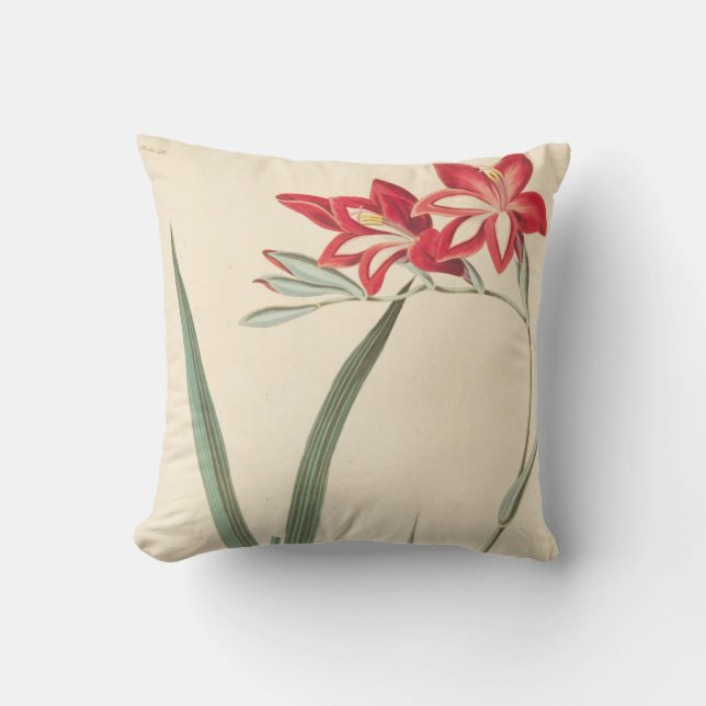 Almofada Milho-Bandeira magnífica (Frente)