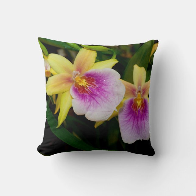 Almofada Miltonia Sunset (Frente)