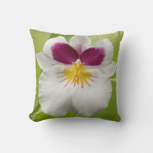 Almofada Miltoniopsis Roezlii (Orquídeas Pansy)