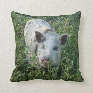 Almofada Mini Juliana Pet Pig