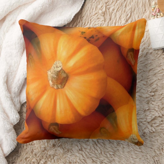 Almofada Mini Pumpkins Laranja E Gourds Caem Foto (Cobertor)