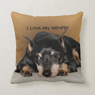 Almofada Miniatura Pinscher t.c.p. Min Pin Love Pet Name