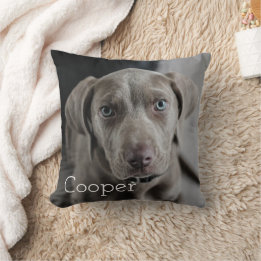 Almofada Modern Personalized Dog 2 Photo
