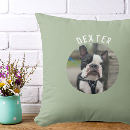 Almofada Moderno Simples Pet Photo Sage Verde