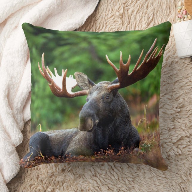 Almofada Moose (Cobertor)