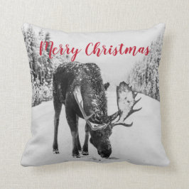 Almofada Moose No Inverno No Natal Da Estrada De Neve