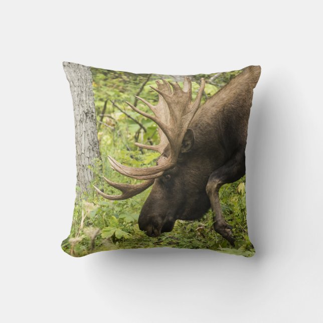 Almofada Moose Sensante (Frente)