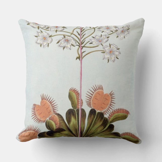 Almofada Mosca-armadilha de Venus, placa 84, 'da coleção (Frente)