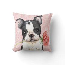 Namorados Rosa Boston Terrier