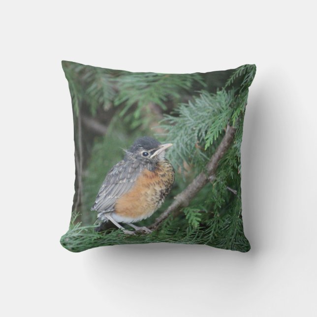 Almofada Natureza ama travesseiro robin (Frente)