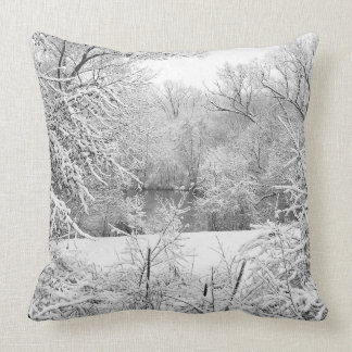 Almofada Neve De Inverno No Rio Huron