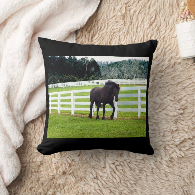 Almofada Nonesuch no Cedar Point (Cobertor)