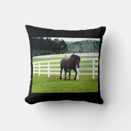 Almofada Nonesuch no Cedar Point