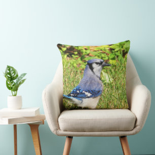 Almofada Norte Blue Jay