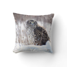 Norte feminino Harrier