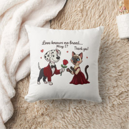 Almofada O Amor Não Conhece Raça Dálmata e Gato Siames