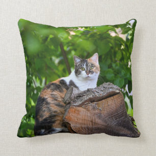 Almofada O caso    CatPillow