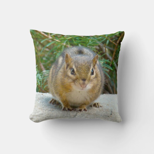 Almofada O Chipset Bonito Está De Olho Em Você (Frente)