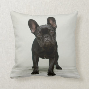 Almofada O filhote de cachorro o mais bonito do buldogue