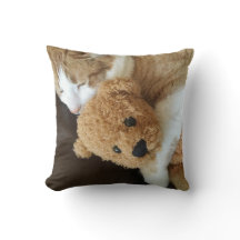 O gato guardara o urso de ursinho velho