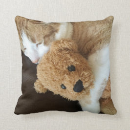 Almofada O gato guardara o urso de ursinho velho