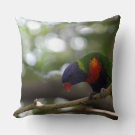 Almofada o impressão do tigre do pássaro do papagaio