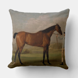 Almofada o passeio do rancho da fazenda do cavalo ostenta o