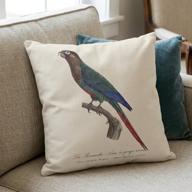 Almofada O periquito-pintado, Pyrrhura Picta (The Painted Parakeet, Pyrrhura Picta. Throw Pillow)