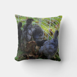 Almofada O que está acima - bumbum da galinha