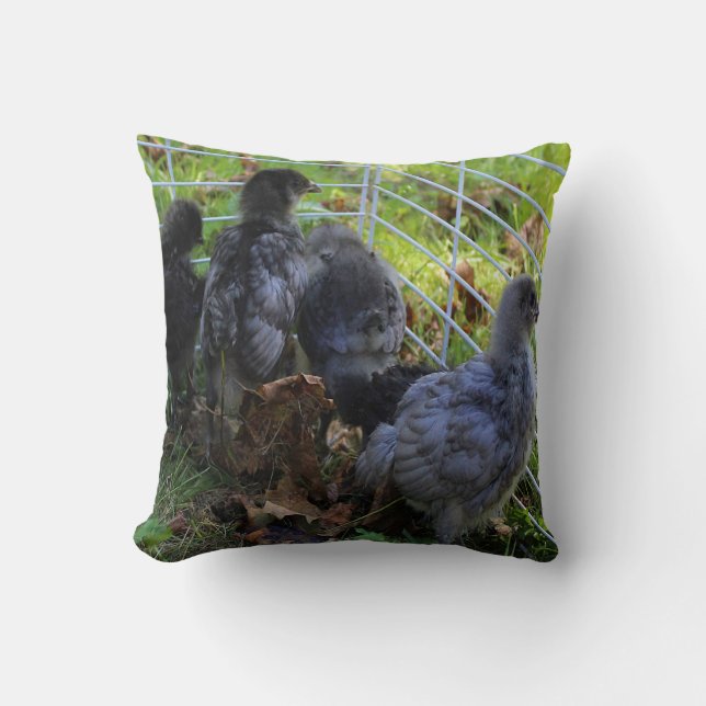 Almofada O que está acima - bumbum da galinha (Frente)