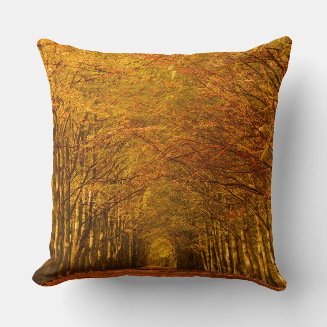 Almofada O trajeto de passeio através da floresta no outono (Frente)