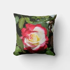 Almofada O travesseiro com vermelho derrubou a ilha lindo