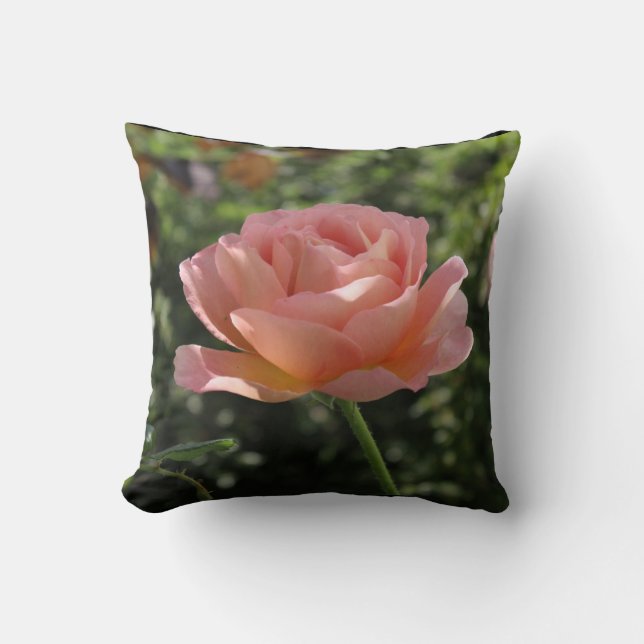 Almofada O travesseiro decorativo com o "Abraham Darby" (Frente)
