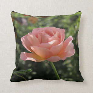 Almofada O travesseiro decorativo com o "Abraham Darby"