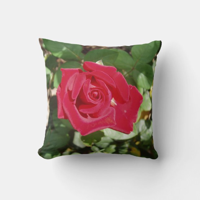 Almofada O Travesseiro decorativo Rosa perfeito (Frente)
