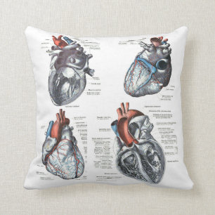 Almofada o travesseiro do cardiologista
