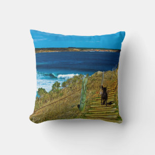Almofada O Ursinho Roubado, O Lounge Jogou O Cushion.